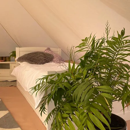Glamping Trevena Cross Glamping & *