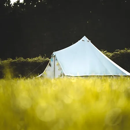Glamping Trevena Cross Glamping &