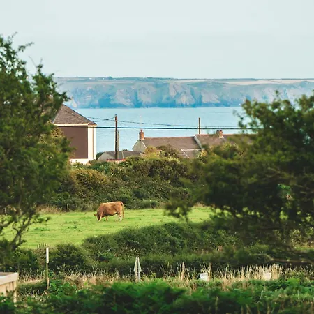 Glamping Trevena Cross Glamping & Helston