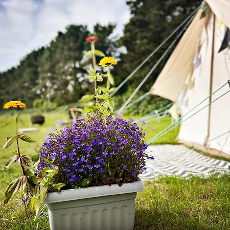 Trevena Cross Glamping & Glamping *